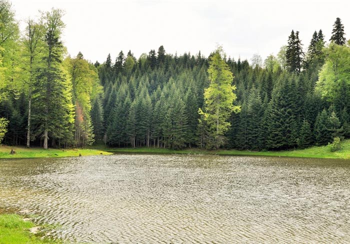 Torkul Gölü, Uğur – Düzce