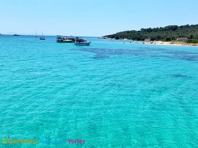 Akvaryum Koyu Dikili