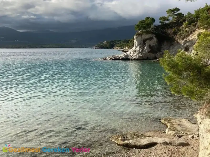 Ayıbalığı Koyu