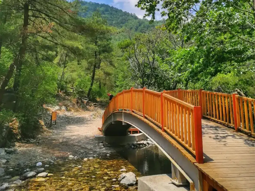 Hasanboğuldu Piknik Alanı
