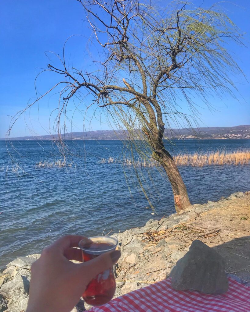 Sapanca Gölü