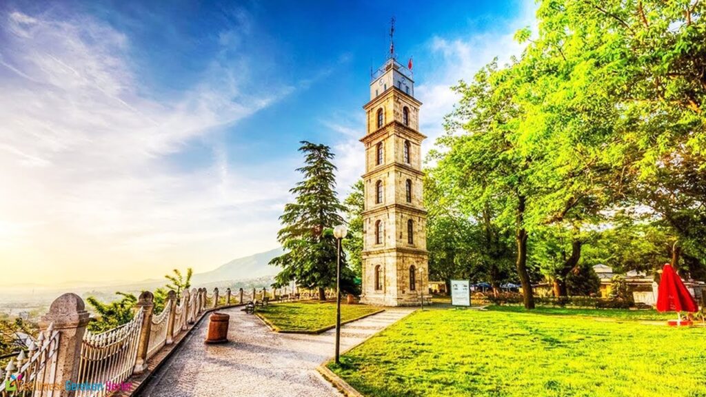 bursa