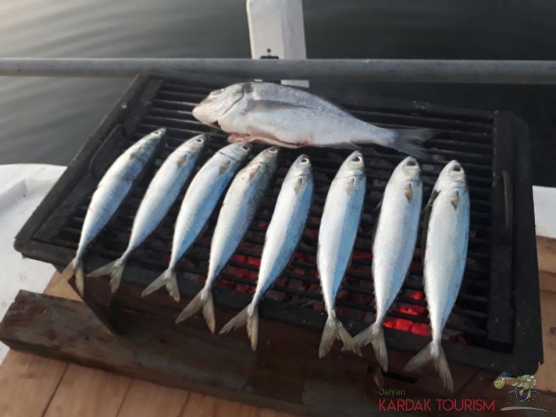 Dalyan Balıkçılık Turları