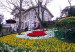 Emirgan Korusu – Nasıl Gidilir? – Kahvaltı Fiyatları Nelerdir?
