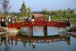Japon Bahçesi Eskişehir - 01