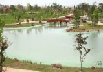 Japon Bahçesi Eskişehir - 04