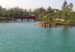 Japon Bahçesi Eskişehir - 05