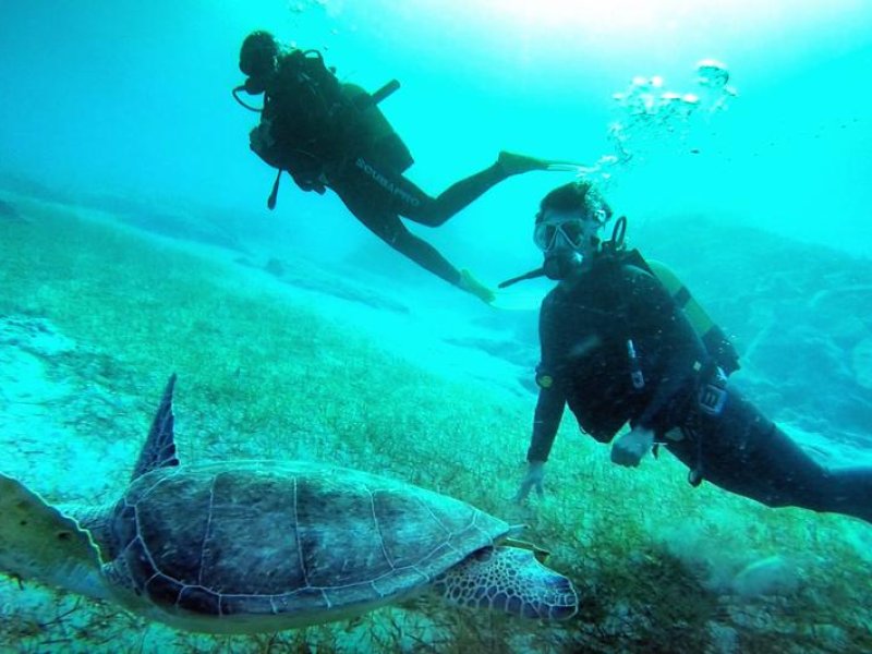Kaş: Denize Yakın Kamp, Dalış ve Akdeniz Ruhu