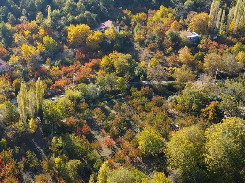 Ovacık Yaylası
